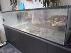 Groot aquarium 250x60x60, Dieren en Toebehoren, Vissen | Aquaria en Toebehoren, Ophalen