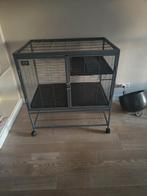 Kooi (tamme rat ), Dieren en Toebehoren, Ophalen, 60 tot 90 cm, Zo goed als nieuw, 75 tot 110 cm