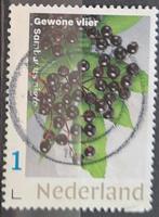 Persoonlijke postzegel gewone vlier, Ophalen of Verzenden