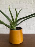 Vintage bloempot geel, Rond, Ophalen of Verzenden, Aardewerk, Minder dan 40 cm