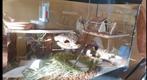 Hamster terrarium/hamster kooi, Minder dan 60 cm, 75 tot 110 cm, Hok, Ophalen