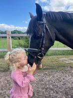 13 jarige c pony merrie !, Dieren en Toebehoren, Pony's, Merrie, B, C pony (1.27m tot 1.37m), Gechipt