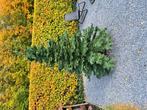 Een mooie grote kunstkerstboom, Tuin en Terras, Planten | Struiken en Hagen, Ophalen of Verzenden, Overige soorten
