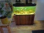 Te koop compleet aquarium vissen los te koop aquarium 1.20, Dieren en Toebehoren, Vissen | Aquaria en Toebehoren, Ophalen, Zo goed als nieuw