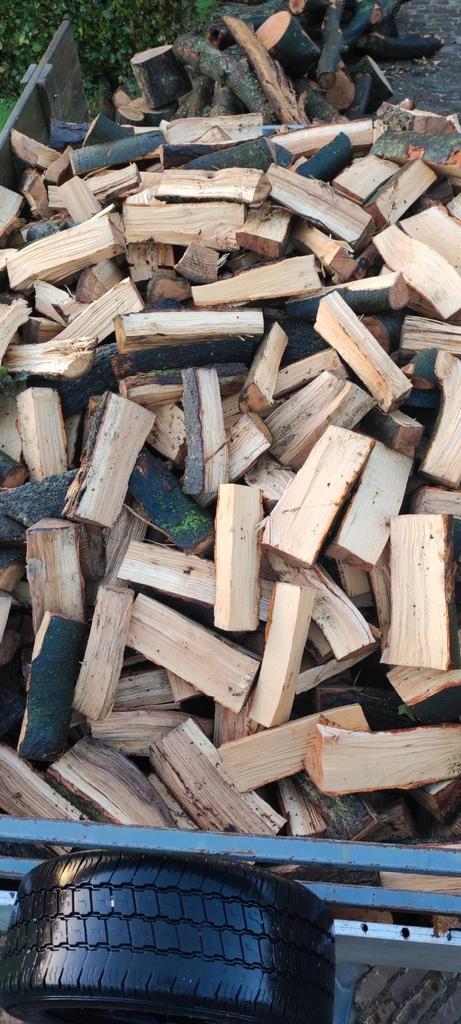 goed gedroogd Eikenhout, Tuin en Terras, Haardhout, Ophalen of Verzenden