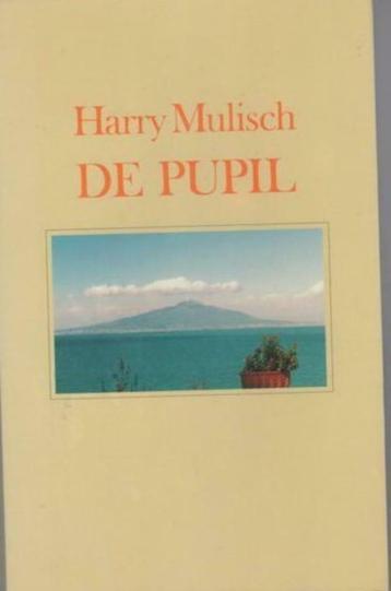 Harry Mulisch - De pupil beschikbaar voor biedingen