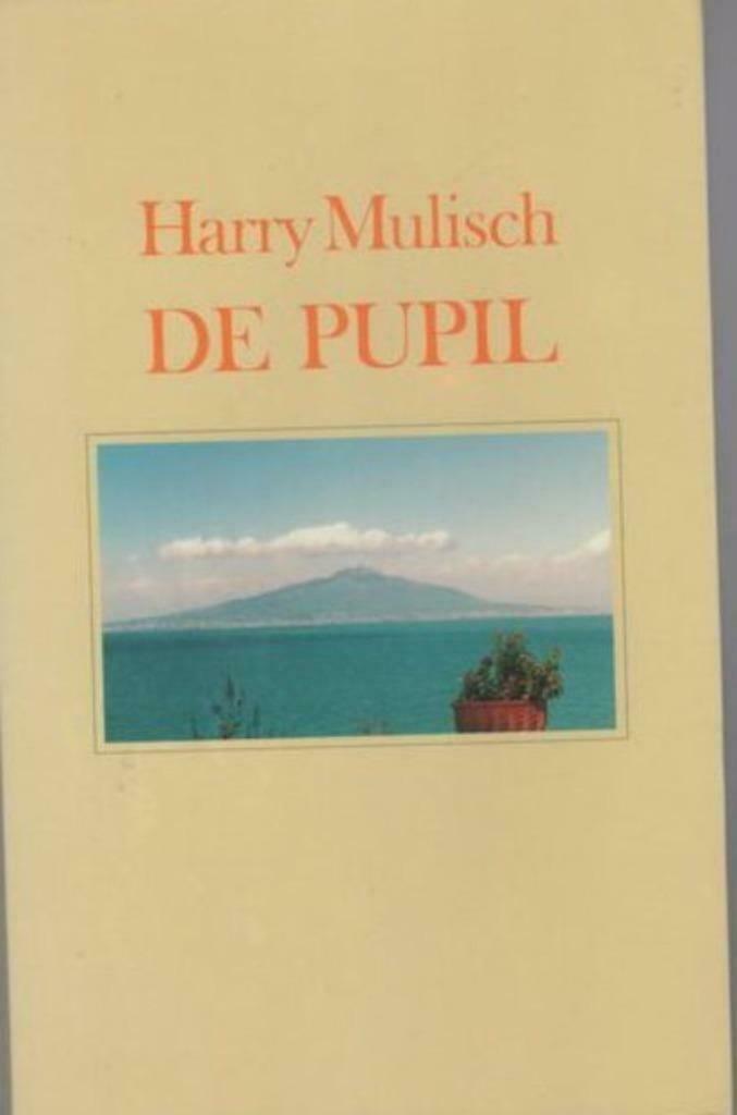 Harry Mulisch - De pupil, Boeken, Literatuur, Zo goed als nieuw, Ophalen of Verzenden