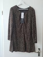 Zwart met gouden jurk mesh maat L NIEUW M&S mode party colle, Kleding | Dames, Jurken, Ophalen of Verzenden, Nieuw, Zwart, Boven de knie