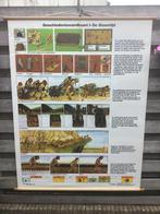 SCSCHOOLPAAT De Steentijd. Geschiedenis Wandkaart, Ophalen, Geschiedenis