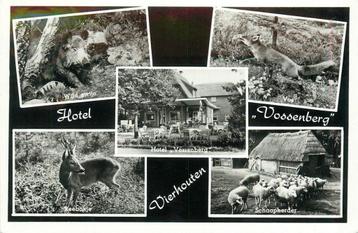 (379-238-037) Vierhouten Vossenberg beschikbaar voor biedingen