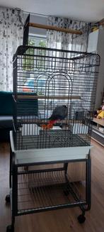 Mooi kooivoor vogel, Dieren en Toebehoren, Ophalen, Zo goed als nieuw, Kooi-accessoires