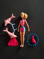 barbie de dolfijnentrainster, Kinderen en Baby's, Speelgoed | Poppen, Ophalen of Verzenden, Gebruikt, Barbie
