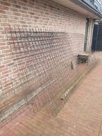 Beton gaas  rond 6 mm 15m2, Ophalen of Verzenden