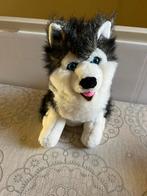 Deze Pluche Husky Hond 35 cm hoog , zoekt nieuw baasje, Ophalen of Verzenden, Nieuw, Hond