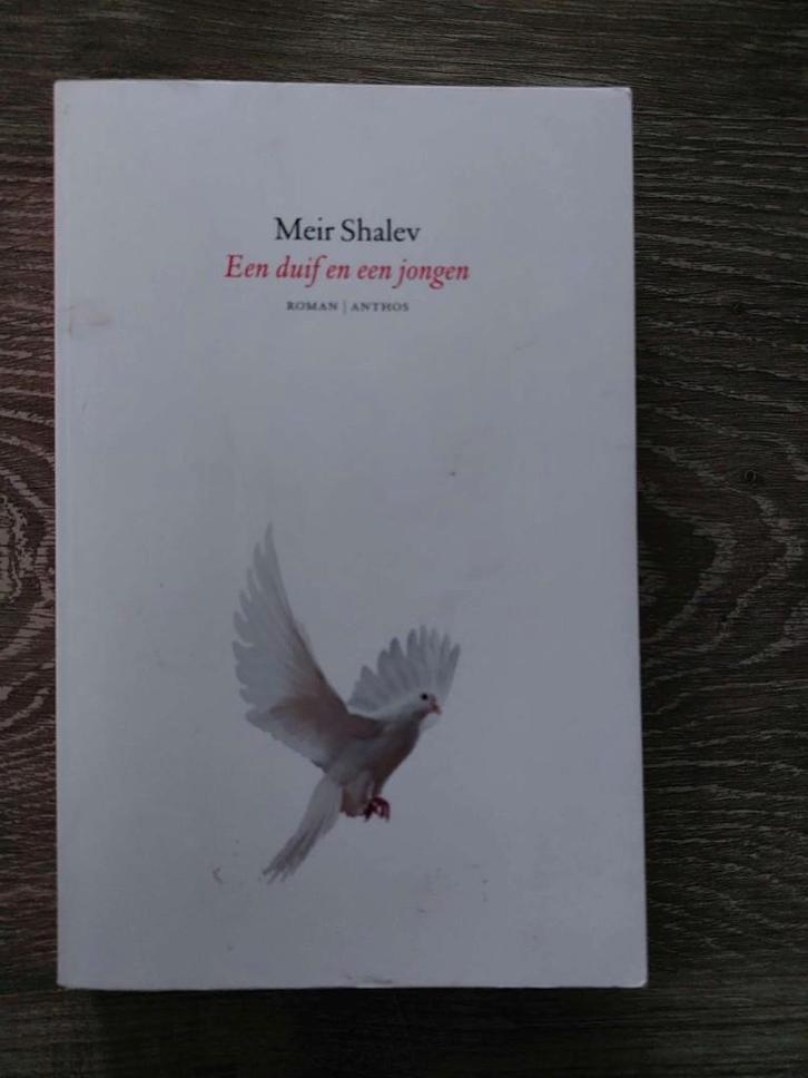 Meir Shalev - Een duif en een jongen, Boeken, Romans, Zo goed als nieuw, Ophalen of Verzenden