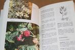 Encyclopedie der Natuurgeneeswijze, Ophalen of Verzenden, Gelezen
