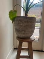 Bloempot - Grijs - 29cm diameter, Tuin en Terras, Bloempotten, Overige materialen, Rond, Binnen, Zo goed als nieuw