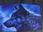 Feestversiering en kinderkostuums (Schaap,wolf), Ophalen, Gebruikt, Versiering
