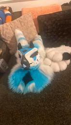 Fursuit, Ophalen of Verzenden, Zo goed als nieuw