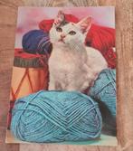 Poesje tussen de bollen wol, Verzenden, Gelopen, Hond of Kat