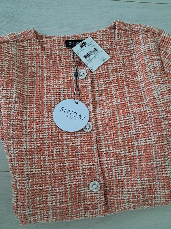 Sunday by Godske jasje Maat M Nieuw Style 6019, Kleding | Dames, Jasjes, Kostuums en Pakken, Nieuw, Jasje, Maat 38/40 (M), Overige kleuren