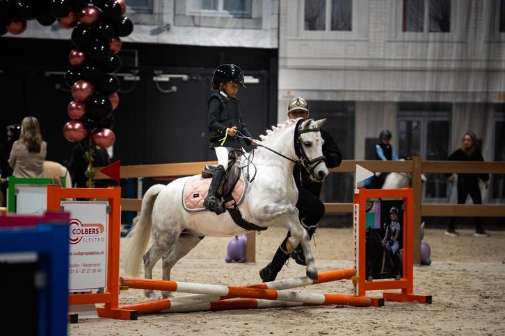 Gezocht: A-pony bijrijder (Delfgauw), Dieren en Toebehoren, Paarden en Pony's | Verzorgingsproducten, Nieuw, Ophalen of Verzenden