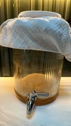 Scoby met glazen pot en startvocht (kombucha), Ophalen