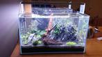 60p aquarium compleet met CO2, Ophalen, Gebruikt, Leeg aquarium