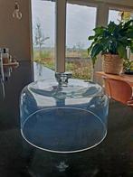 Glazen stolp cloche 21 cm, Taart deksel met knop, Terrarium, Ophalen, Gebruikt