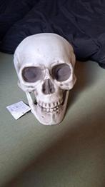 Nieuw schedel voor buiten, Fklng7igfmvkyou, Ophalen of Verzenden, Zo goed als nieuw, Dame
