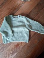 Baby truitje, Kinderen en Baby's, Babykleding | Maat 56, Ophalen of Verzenden, Nieuw, Jongetje of Meisje, Truitje of Vestje