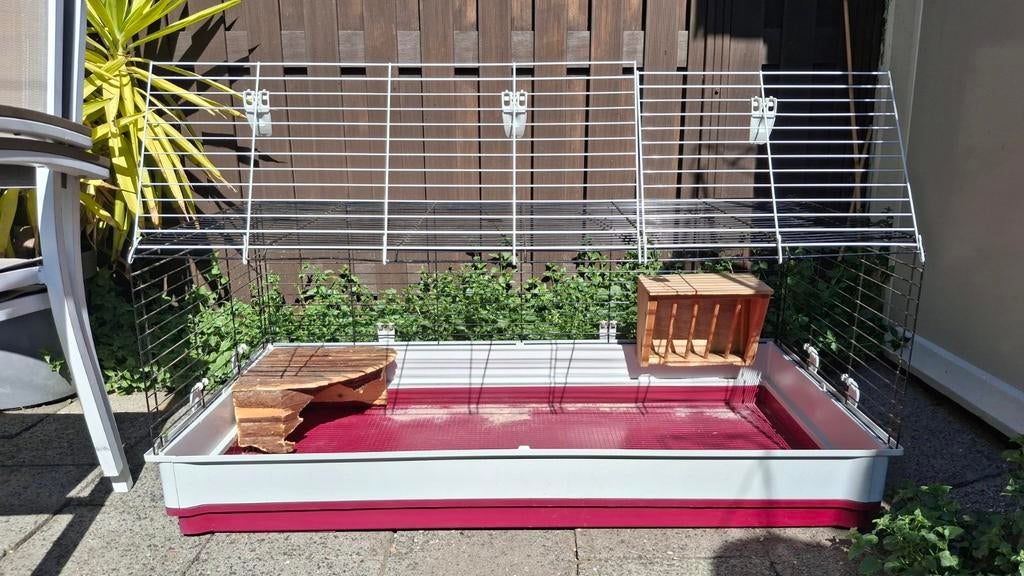 Grote ferplast cavia of konijnen binnenhok, Dieren en Toebehoren, Knaagdieren en Konijnen | Hokken en Kooien, Minder dan 60 cm