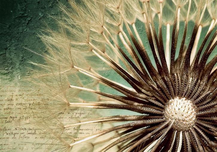 25 Bloem Vlies Fotobehang 350x250cm in 3 maten Nieuw XXL, Huis en Inrichting, Stoffering | Behang, Blauw, Wit, Zwart, Beige, Bruin