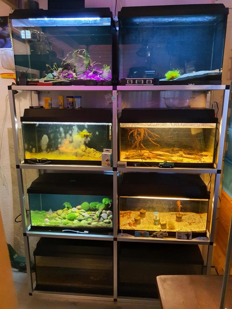 Aquarium stelling alu. 2 x Juwel primo 70 en 6 x primo 60., Dieren en Toebehoren, Vissen | Aquaria en Toebehoren, Ophalen, Gebruikt
