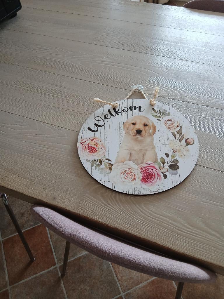 Labrador welkom bord, Ophalen, Zo goed als nieuw