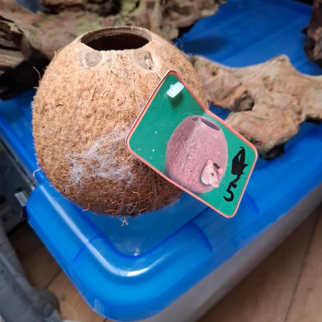 Kienhout, Dieren en Toebehoren, Vissen | Aquaria en Toebehoren, Ophalen, Nieuw, Plant(en), Steen of Hout