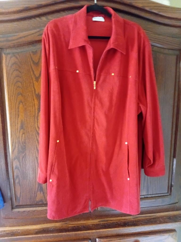 Echt een mooie blouse .stof voelt als suede maat  52, Kleding | Dames, Ophalen, Zo goed als nieuw, Maat 46/48 (XL) of groter, Blauw