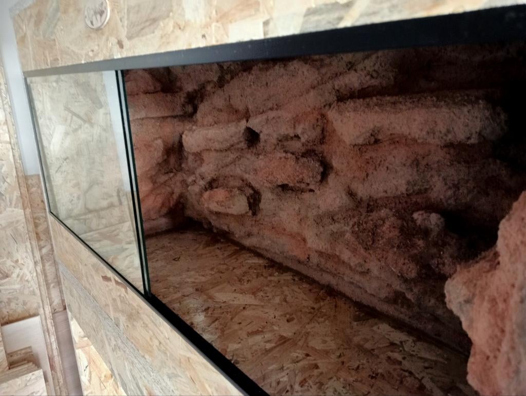 Osb3 terrarium RepHouSZ. 100/40/50 met 3D achterwand steen, Ophalen, Nieuw, Terrarium of Paludarium