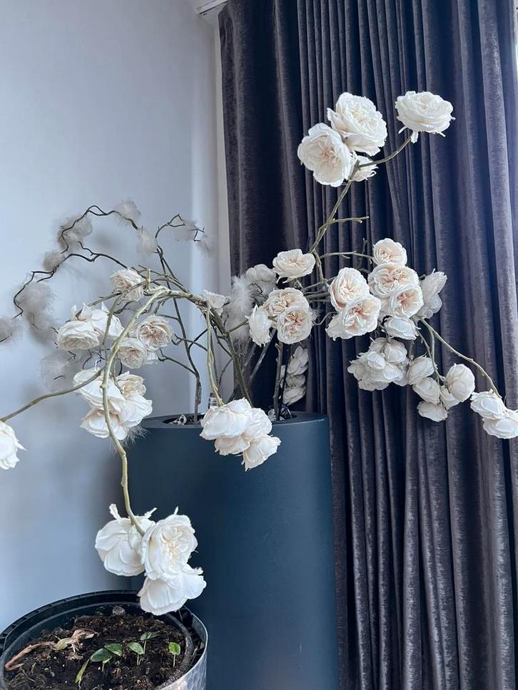 5 X XXL ZIJDE BLOESEMTAKKEN KUNST BLOESEM TAKKEN WIT BEIGE, Huis en Inrichting, Woonaccessoires | Kunstplanten en Kunstbloemen