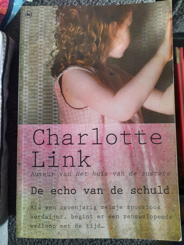 Charlotte Link - De echo van de schuld, Boeken, Thrillers, Ophalen of Verzenden, Gelezen, Charlotte link