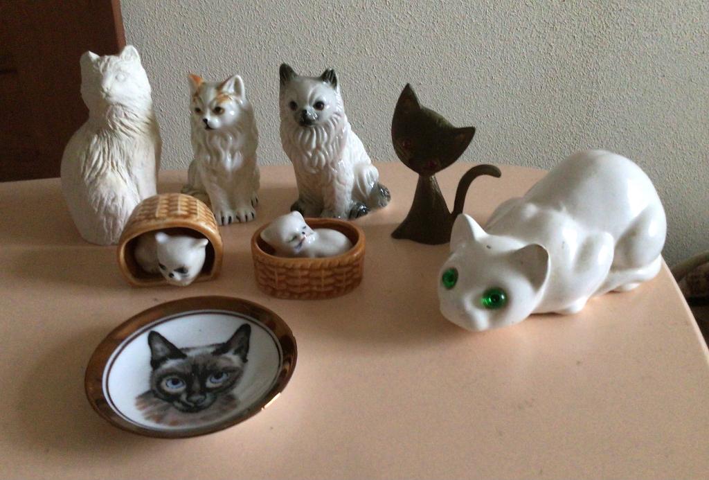 Poezenbeeldjes, klein, verschillende, wandbordje ø 8cm, Verzamelen, Ophalen of Verzenden, Gebruikt, Dier