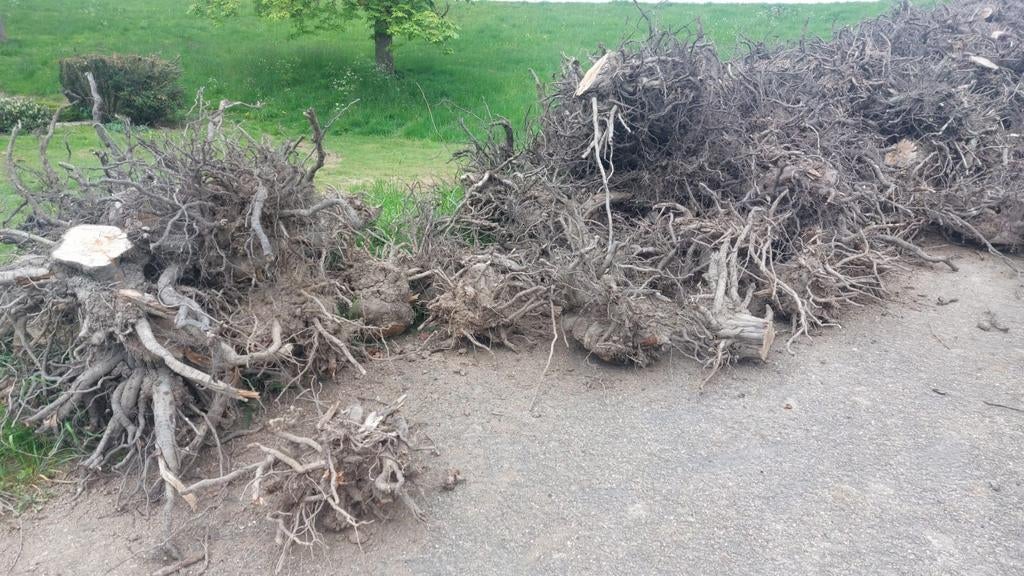 Openhaardhout, Tuin en Terras, Haardhout, Minder dan 3 m³, Ophalen