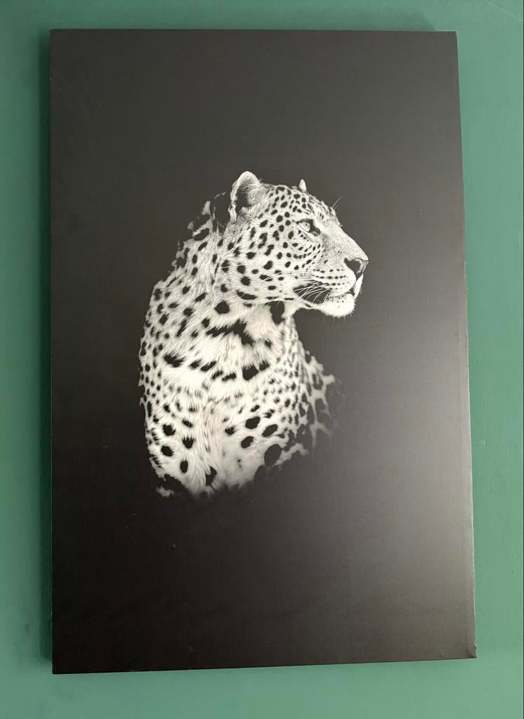canvas Luipaard Zwart-Wit - 117x75 cm, Ophalen