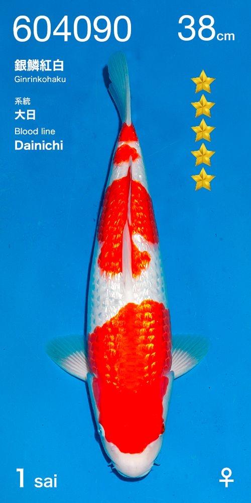 Show kwaliteit tosai azukari in japan, Vis
