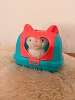 Speelgoed Poes met Reismand - Nieuwstaat, Ophalen of Verzenden, Nieuw, Poes