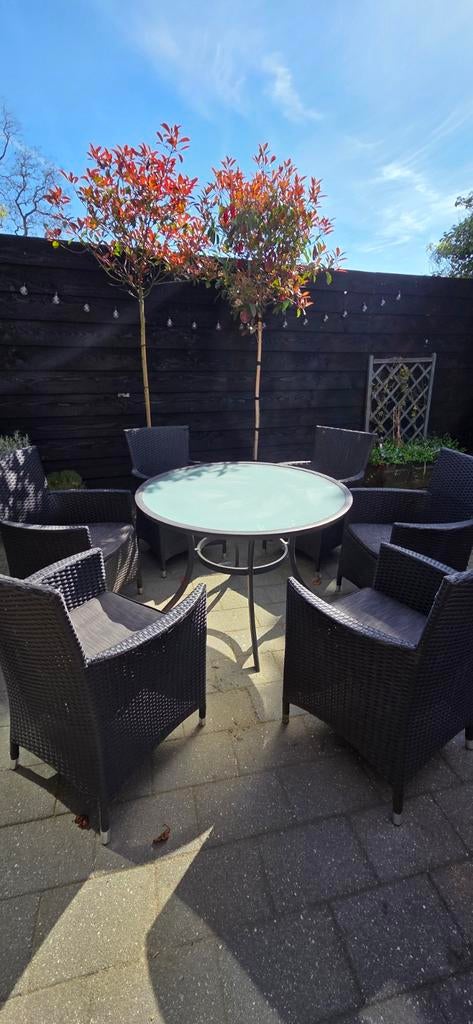 Tuinset met 6 stoelen en ronde tafel, Ophalen