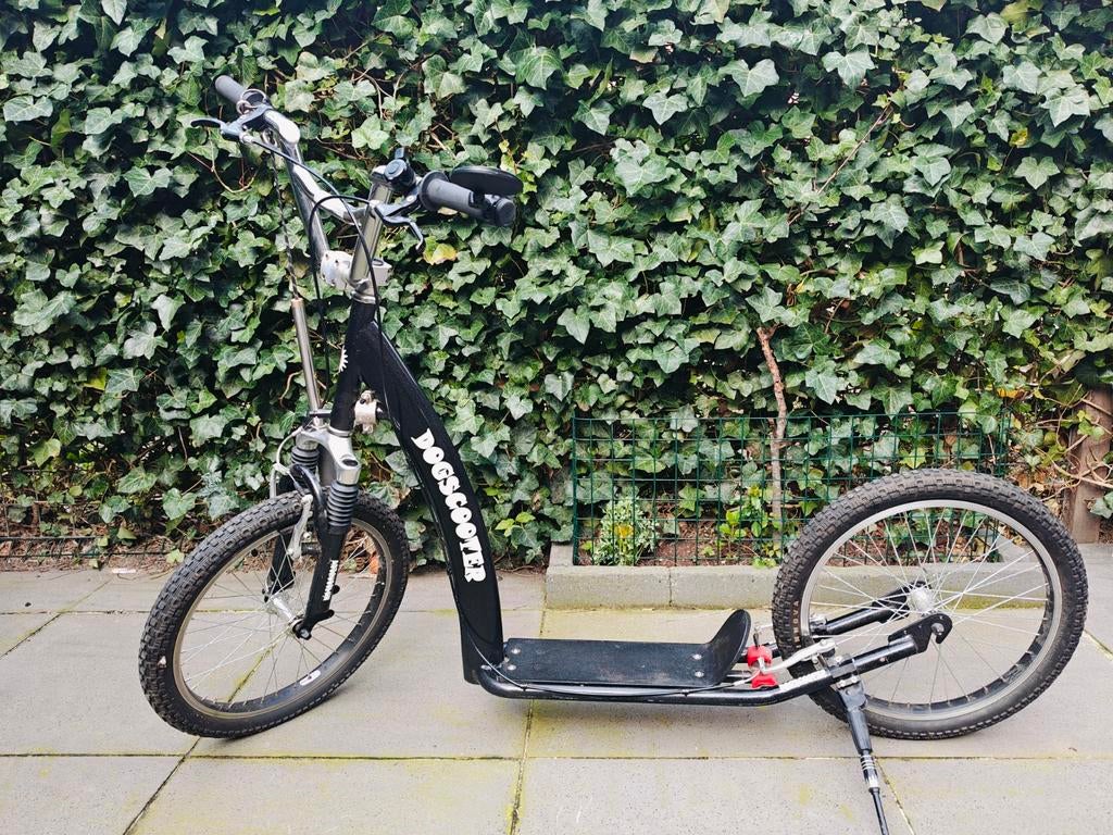 Dogscooter hondenstep, Ophalen, Zo goed als nieuw