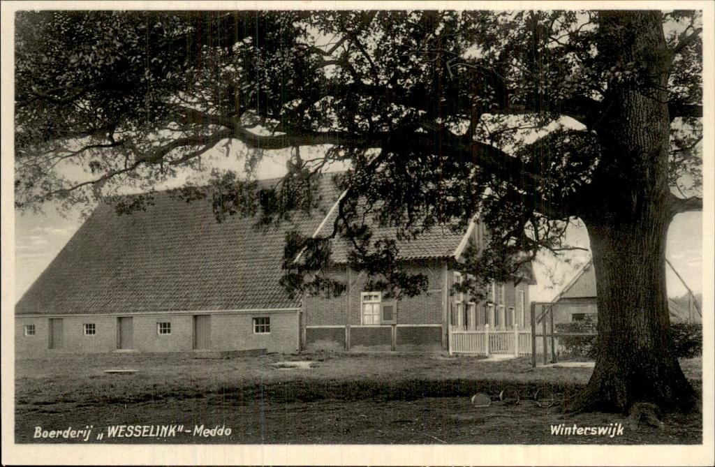 Winterswijk - Boerderij Wesselink - Meddo, Ophalen of Verzenden, 1920 tot 1940, Ongelopen, Gelderland