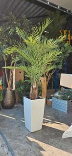 Kunstpalm, kunstplant, kunstboom., Huis en Inrichting, Woonaccessoires | Kunstplanten en Kunstbloemen, Ophalen of Verzenden, Nieuw
