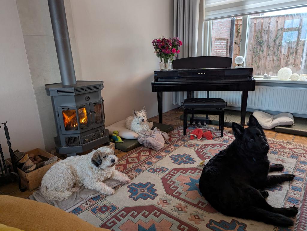 Barbas houtkachel met pijp, Huis en Inrichting, Kachels, Ophalen, Gebruikt, Hout, Houtkachel